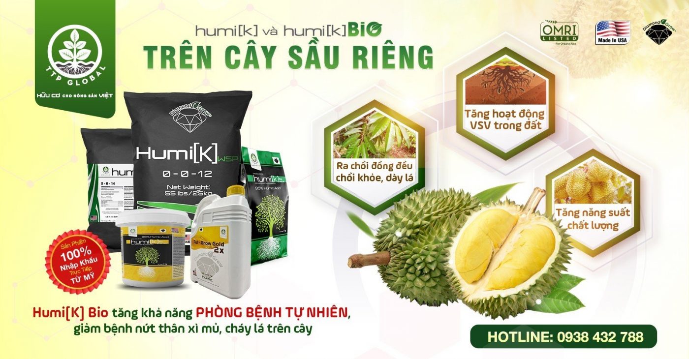 Humic cho cây sầu riêng