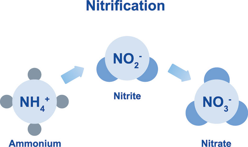 Đánh Giá Tác Động Của Humic Substances Đối Với Hàm Lượng Nitơ trong Đất