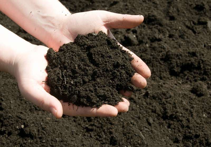 Khả Năng Làm Giảm Carbon trong Đất của Humic Substances