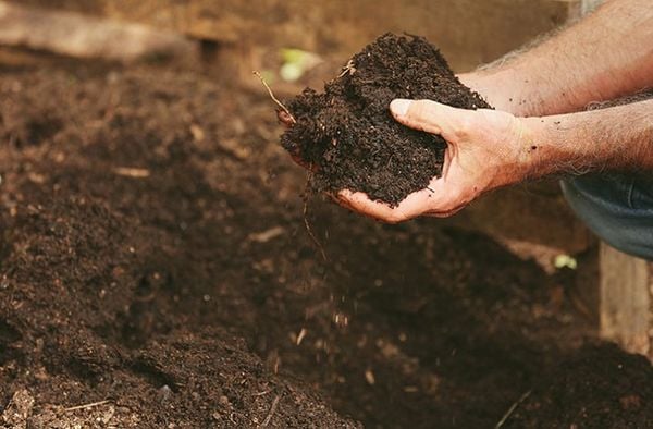 Phương pháp chiết xuất và tinh chế Axit Humic