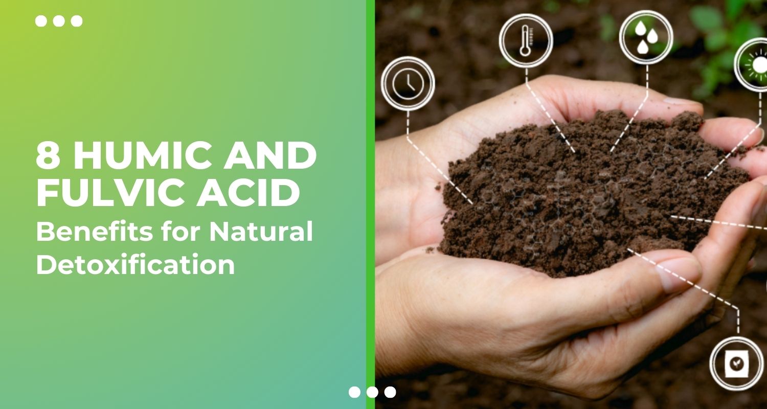 So sánh Axit Humic với các chất cải tạo đất khác