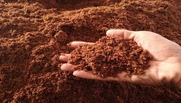 Ứng dụng của Axit Humic trong cải tạo và cải thiện đất trồng