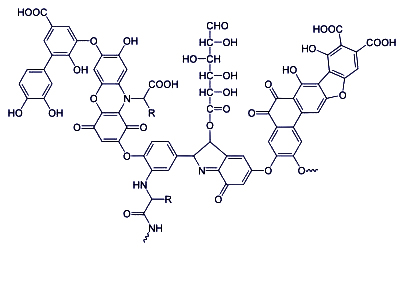 Acid humic và ổn định độ pH đất