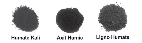 Cải thiện hiệu suất cây mầm với acid humic