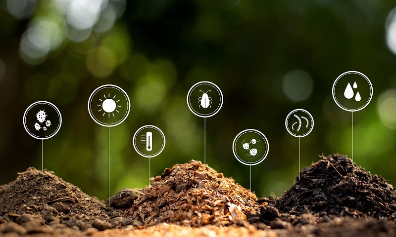 Fulvic có thể tăng cường hấp thụ nước của cây không?