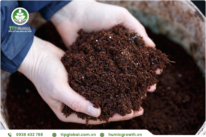 Sử dụng acid humic để duy trì độ ẩm của đất