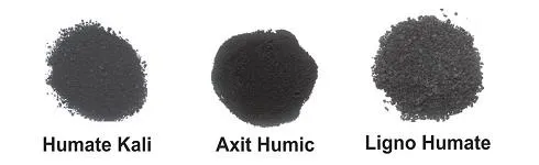 Sử dụng acid humic để duy trì độ ẩm của đất