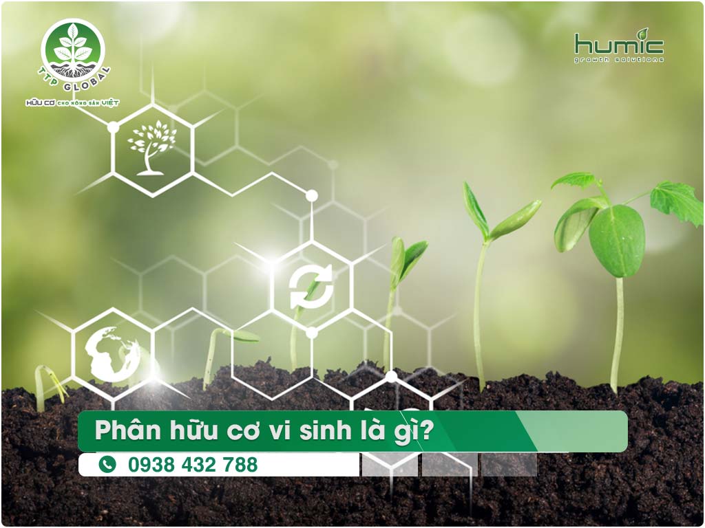 Tính chất kháng khuẩn và kháng nấm của fulvic và lợi ích của nó đối với cây trồng.