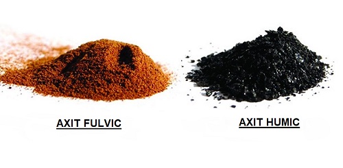 Ứng dụng acid humic trong việc phòng chống sự ô nhiễm đất